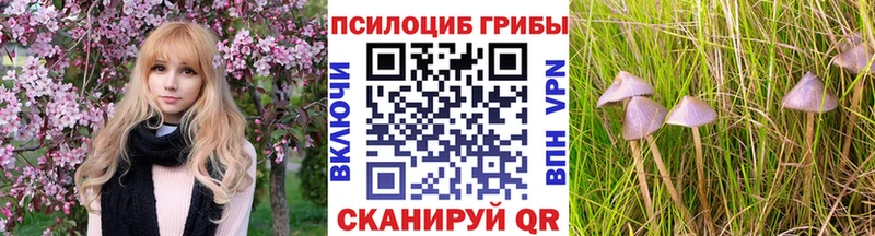 Галлюциногенные грибы прущие грибы  Таштагол 